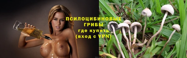 mdpv Переславль-Залесский