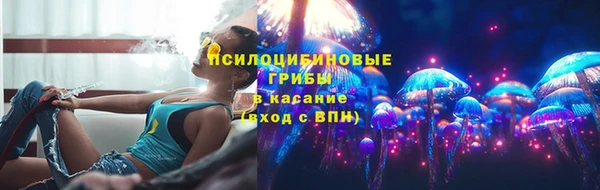 амф Пестово