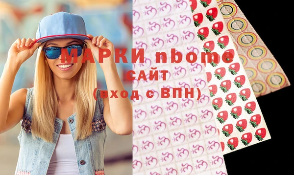 амф Пестово