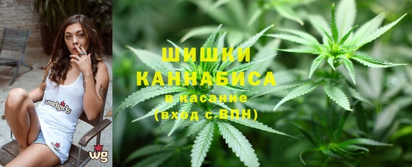 амф Пестово