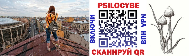 Псилоцибиновые грибы ЛСД Рыльск