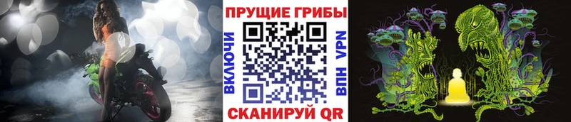 Галлюциногенные грибы Cubensis где можно купить наркотик Рыльск